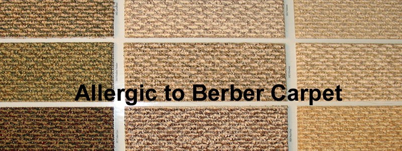 allergic to berber carpet