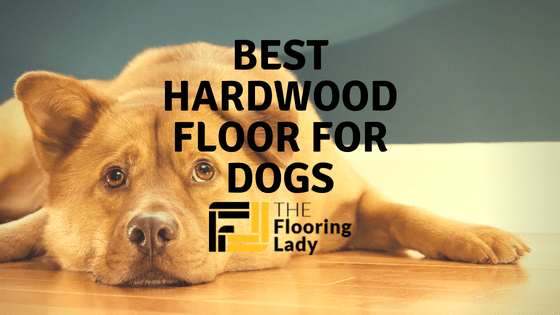 Best Hardwood Floors For Dogs